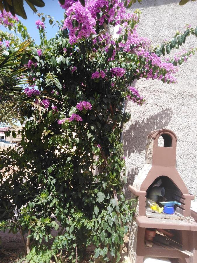 ויר Apartman Ivica מראה חיצוני תמונה